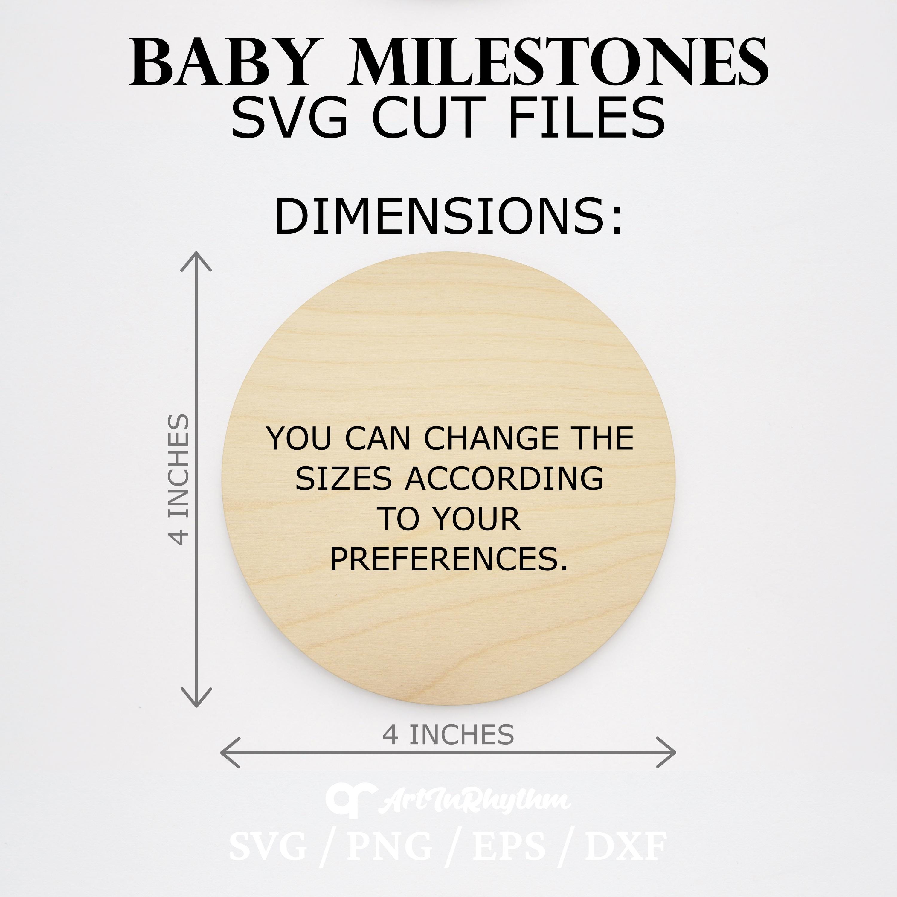 Baby Milestones Svg, Floral Monthly Milestones Svg, Milestone Discs Svg ...