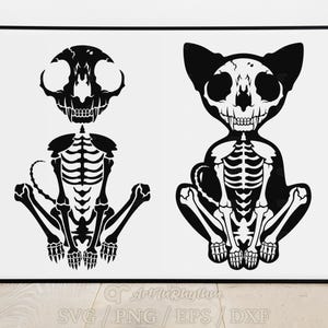Cat Svg, Skeleton Cat Svg, Halloween Cat Svg, Skeleton Svg, Cat Svg, Black Cat Svg, Cat Clipart, Cat PNG Cutting file for Cricut/ Silhouette