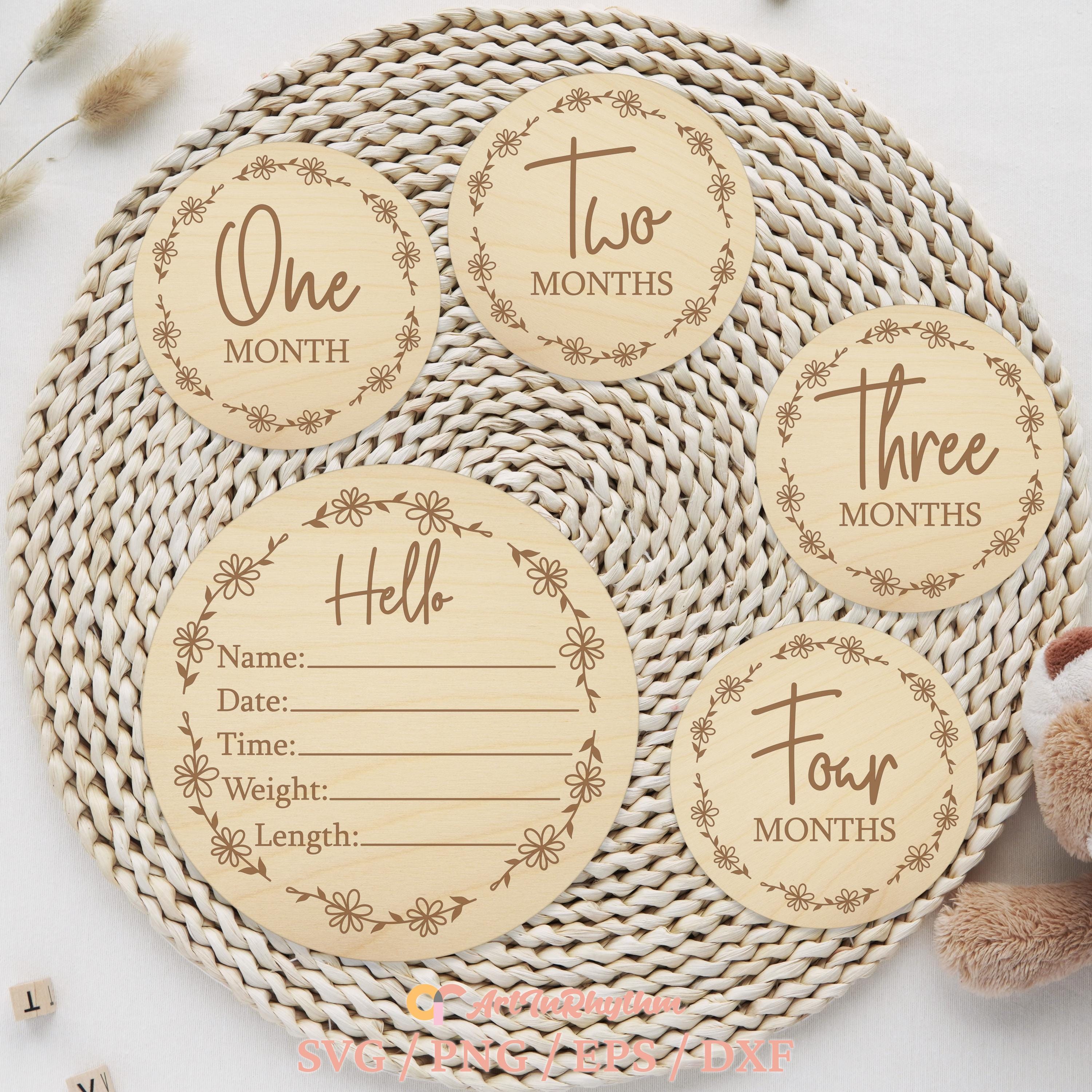 Baby Milestones Svg, Floral Monthly Milestones Svg, Milestone Discs Svg ...