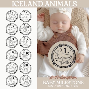 Jalon du mois pour bébé animaux d'Islande, marqueur d'étape mensuel, disques svg jalon bébé, jalon acrylique bébé, svg cadeau baby shower