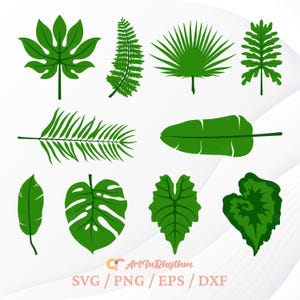 Leaves Svg, Tropical Leaves Svg, Monstera Leaf Svg, Palm Leaf Svg, Areca Palm Svg, Palm Leaves Svg, Plants svg, Botanical Svg, Leaf Svg File