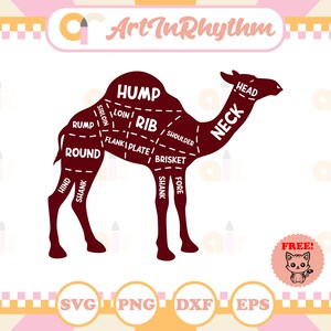 Butcher meat chart, Camel meat chart svg, Kitchen meat chart, Camel Meat cut guide, Kitchen wall decal, Kitchen wall decor, Meat shop svg image 2