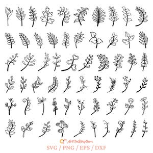 Hojas Svg, Paquete de hojas Svg, Hojas Svg, Plantas Svg, Ramas Svg, Botánico Svg, Hojas tropicales Svg, Hojas de palma Svg, Flores Svg