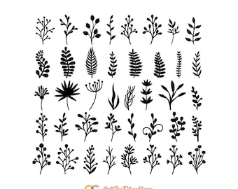 leaves svg bundle, botanical svg bundle, Plants Svg Bundle, Branch svg, Wildflower svg, Flower branch svg, Floral svg, Botanical leaves svg