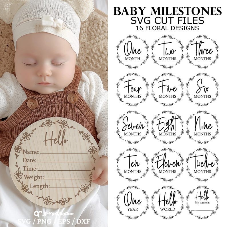 Baby Milestones Svg, Floral Monthly Milestones Svg, Milestone Discs Svg ...