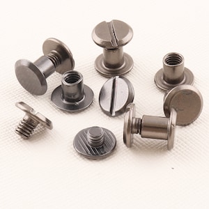 Könnte beinhalten: Eine Sammlung von zehn silberfarbenen Schraubnieten mit verschiedenen Kopfformen.