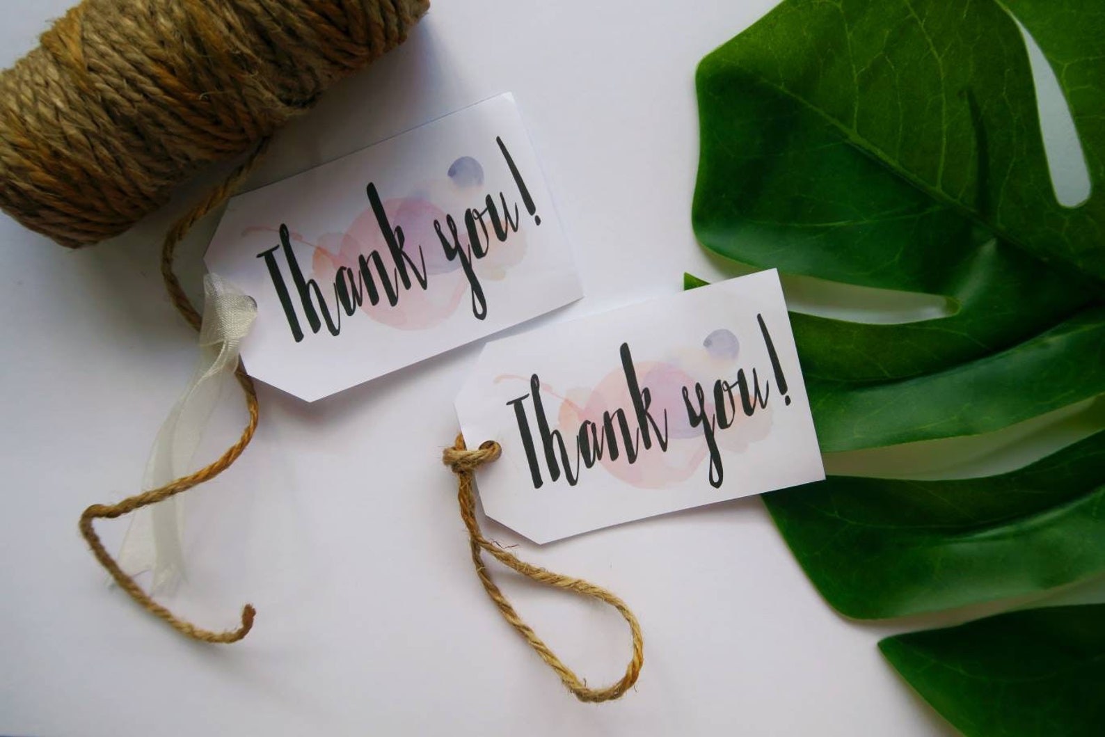 Thank You Gift Tags Favor Tags Wedding Tags Watercolor Etsy