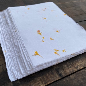 Handmade Cotton Rag Paper, 50 Pack - 150 GSM Paper with Real Flower Petals and Deckled Edge, for Wedding Invitations, Gift Tags, Thank Notes