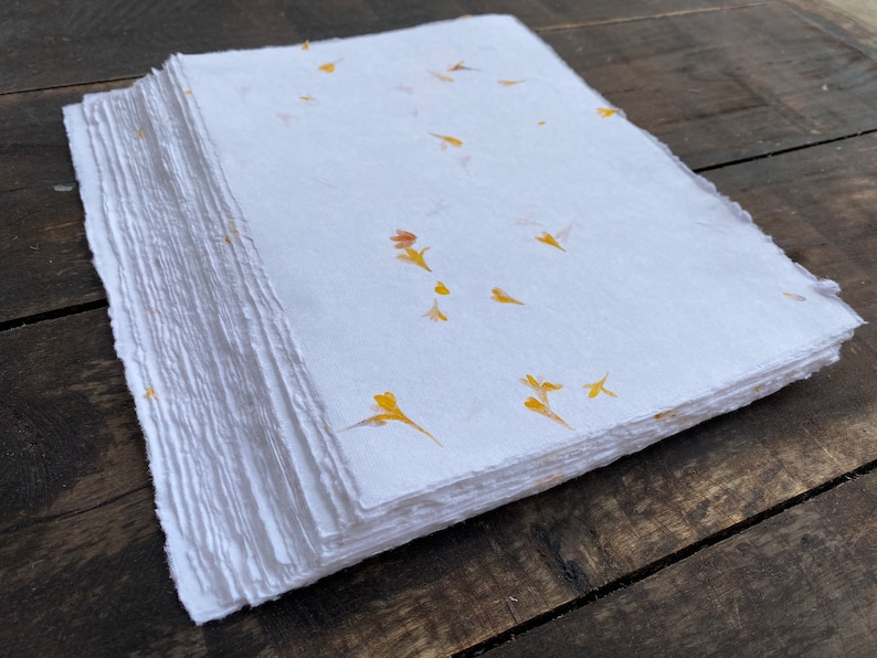 Wanderings Handmade White Paper with Real Flower Petals and Deckle Edge, Handmade Paper for Wedding Invites and Thank You Notes 