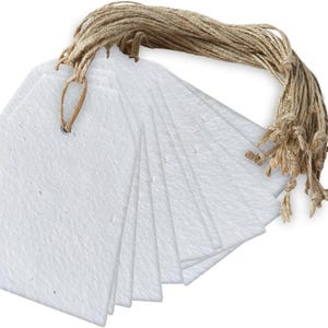 Handmade Paper Gift Tags with String - Vintage / White Deckle Edge - 25 Pack - Gift Wrap Tags, Price Tags - 150 GSM - 3.75 x 1.75” Seeds (Plantable)