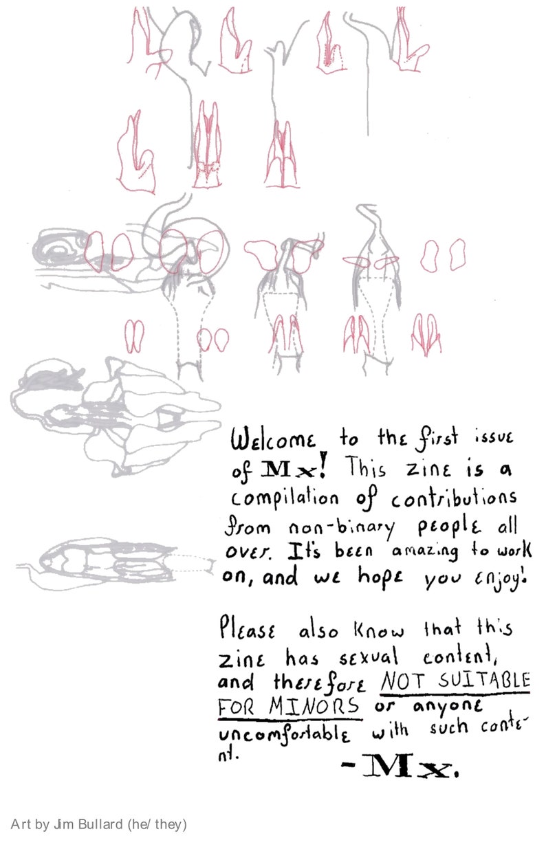Mx. Sexuality Zine **Digital Copy** (DIY made by non-binary folk) image 2