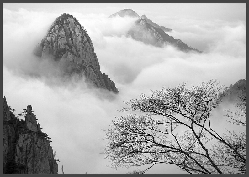 Mountains Nature Tampa Mall Foggy Large-scale sale Photography Mounta