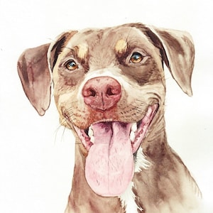 Custom Pet Portrait Painting, Watercolor Original Painting, Memorial Art, Custom Dog portrait, Custom Dog or Cat Painting