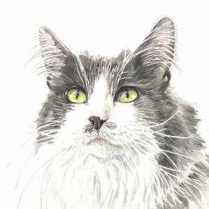 Custom Cat Portrait Watercolor Hand painted from your Photo Custom Pet Portrait Art Custom Cat Memorial Art Custom Cat or Dog Painting