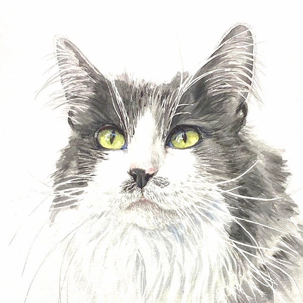 Custom Cat Portrait Watercolor Hand painted from your Photo, Custom Pet Portrait Art, Custom Cat Memorial Art, Custom Cat or Dog Painting
