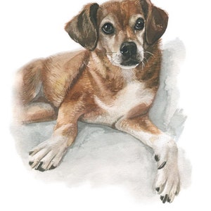 Custom Pet Portrait Watercolor Hand Painted from You Own Photo, personalized dog portraits, dog or cat drawing, custom pet portrait painting image 6