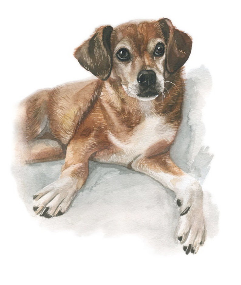 Custom Pet Portrait Watercolor Hand Painted from You Own Photo, personalized dog portraits, dog or cat drawing, custom pet portrait painting image 6