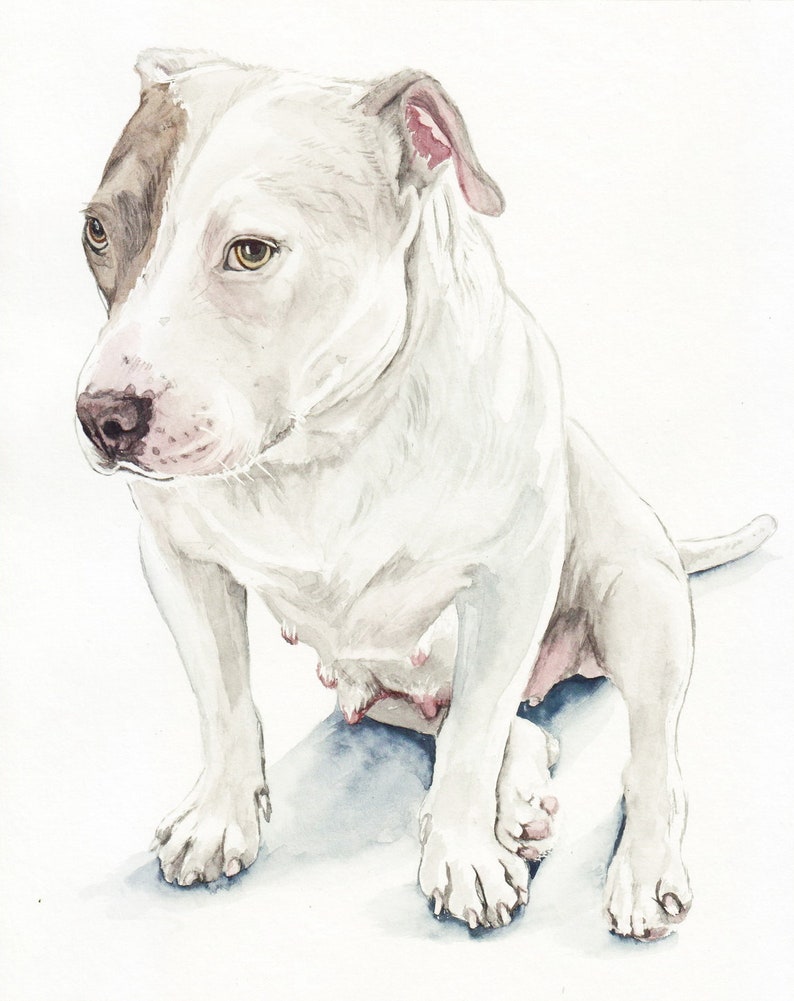 Custom Pet Portrait Watercolor Hand Painted from You Own Photo, personalized dog portraits, dog or cat drawing, custom pet portrait painting 1 pet full body