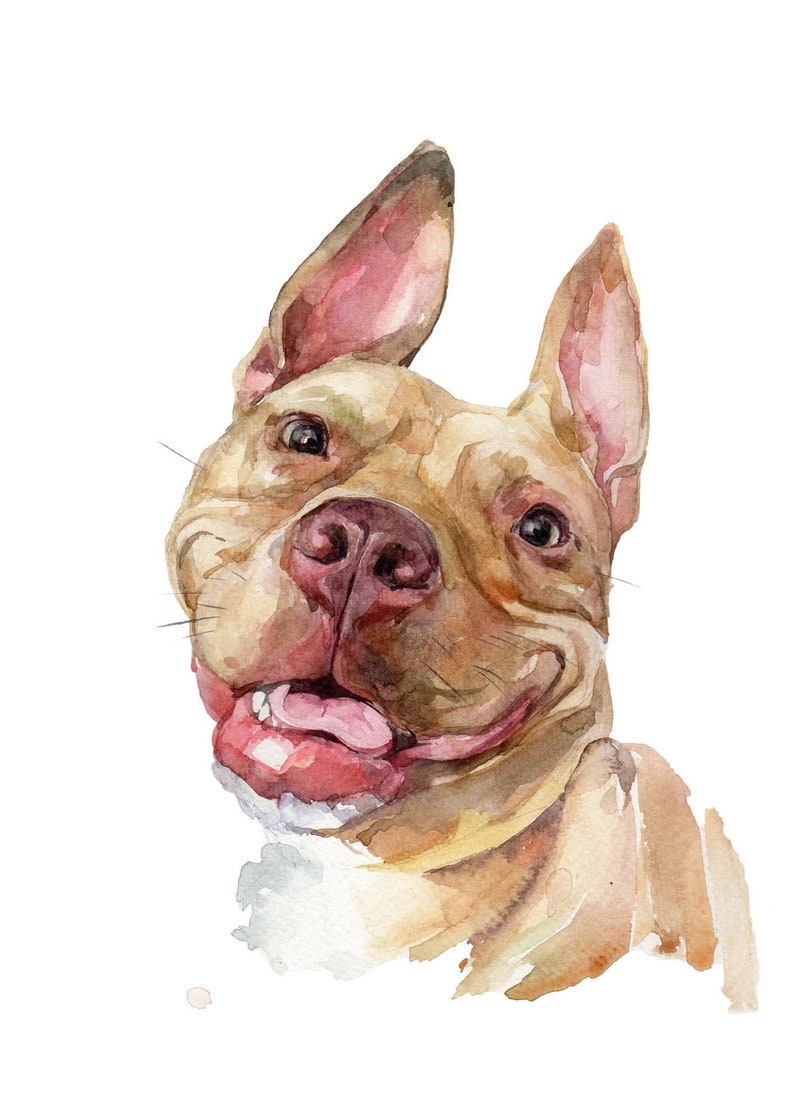 Custom Pet Portrait Watercolor Hand Painted from You Own Photo, personalized dog portraits, dog or cat drawing, custom pet portrait painting image 1