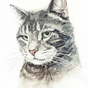 Custom Cat Portrait Watercolor Hand Painted From Your Photo, Custom Pet ...