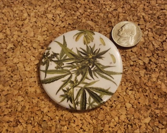 Cannabis Sativa from Figure from Pharmacopoeia Borussica - 2.25in pinback button