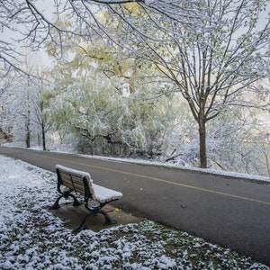 Winter Park Bench Digital Télécharger, Wall Art, Bench Scene