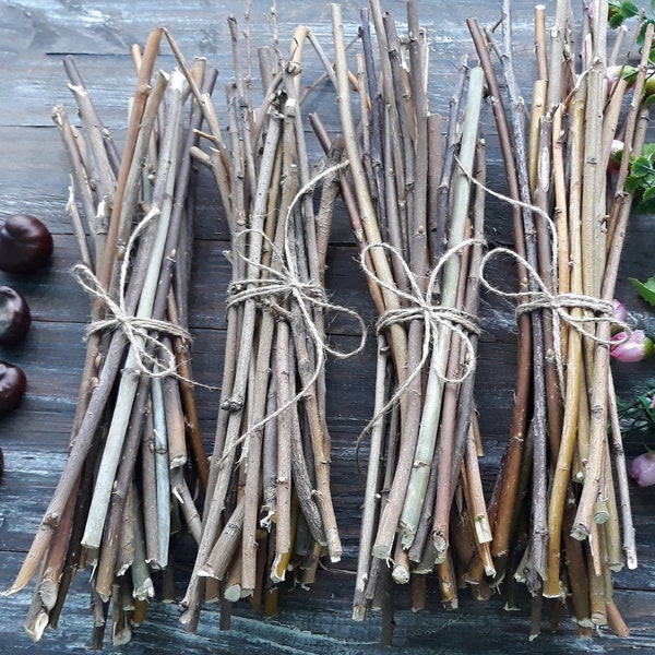 Sticks set of 30 pcs Rustic design photo props Tree twigs bundle Natural branches Primitive woodland forest find Magical tool Woodland decor