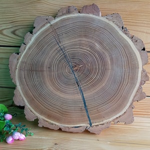 15&#39;&#39; wood slices wedding chargers Wood slabs center pieces Treated wood slices Rustic centerpiece Holiday table decor Rustic decorations