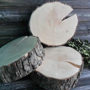 8&quot; Tree slice cake stand Centerpiece ideas Wood disks Treated wood slices Wood slabs chargers Hardwood Rustic wedding idea Rustic decoration