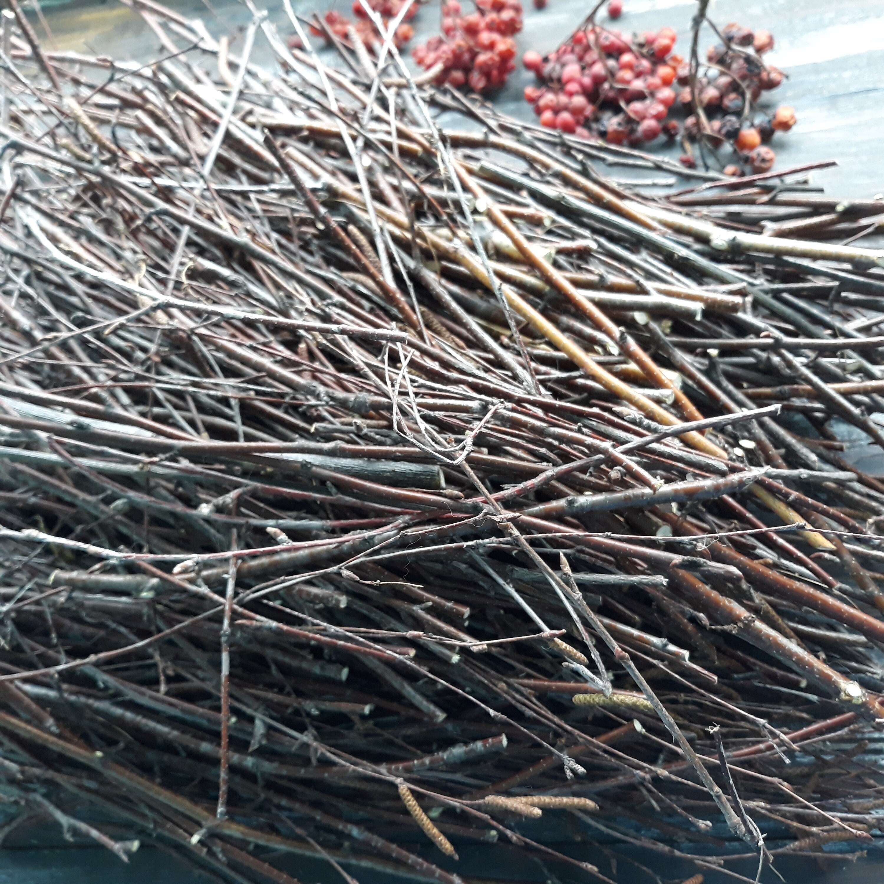 8 Birch tree sticks twigs 3 bundles Decorative birch Etsy