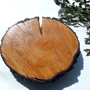8 inch tree slices for tables Round wood discs 8&quot; Wooden slices Rustic wooden coasters Tree trunk slices Wood centerpiece Rustic table decor