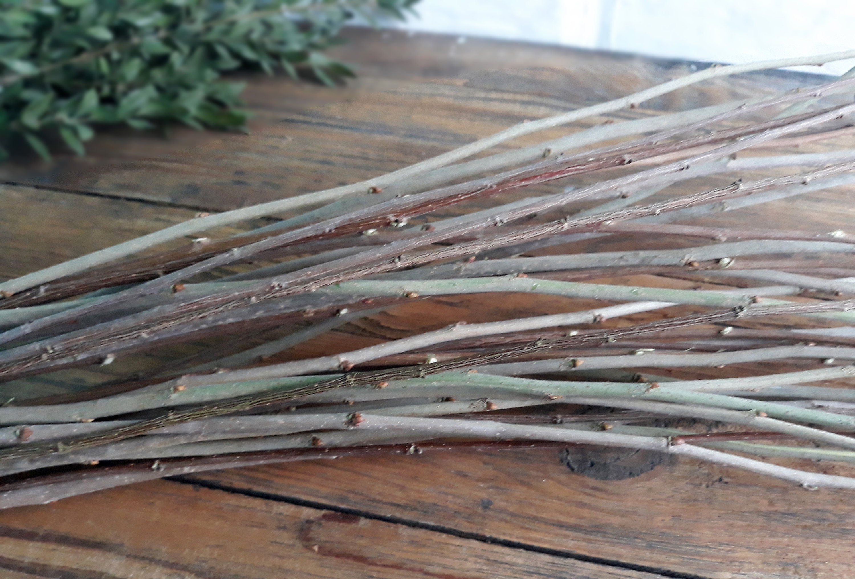 315 Extralong brown twigs Willow bundle Eco friendly Etsy