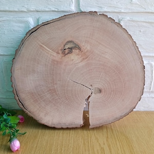 11 inches Treated wood cookies Rustic wood slices Wood round Tree cookies Tree slices with bark Woodland decorations Wedding table decor