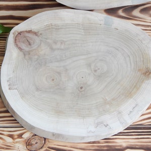 11&quot; tree slices for tables Round wood discs Wooden slices Rustic wooden coasters Tree trunk slices Wood centerpiece Rustic table decor