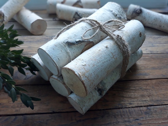 Bundle Of 5 White Birch Logs 7 Birch Branches Decor For Etsy