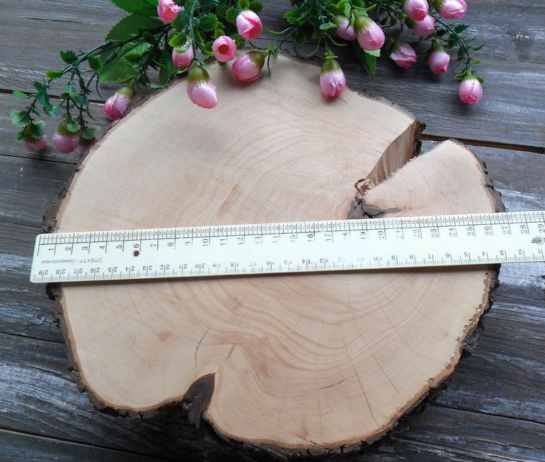 10.63 Treated Wood Cookies Rustic Wood Slices Wood Round Etsy