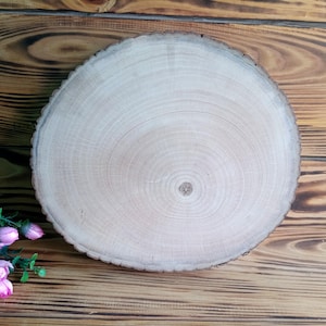 10&quot; Natural wood slice Rustic wood round Blank wood slab Table centerpiece Rustic wedding decor Woonderland decor Outdoor decor