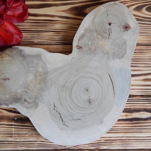 16&quot; Large tree slices for tables Round wood discs Wooden slices Rustic wooden coasters Tree trunk slices Wood centerpiece Rustic table decor