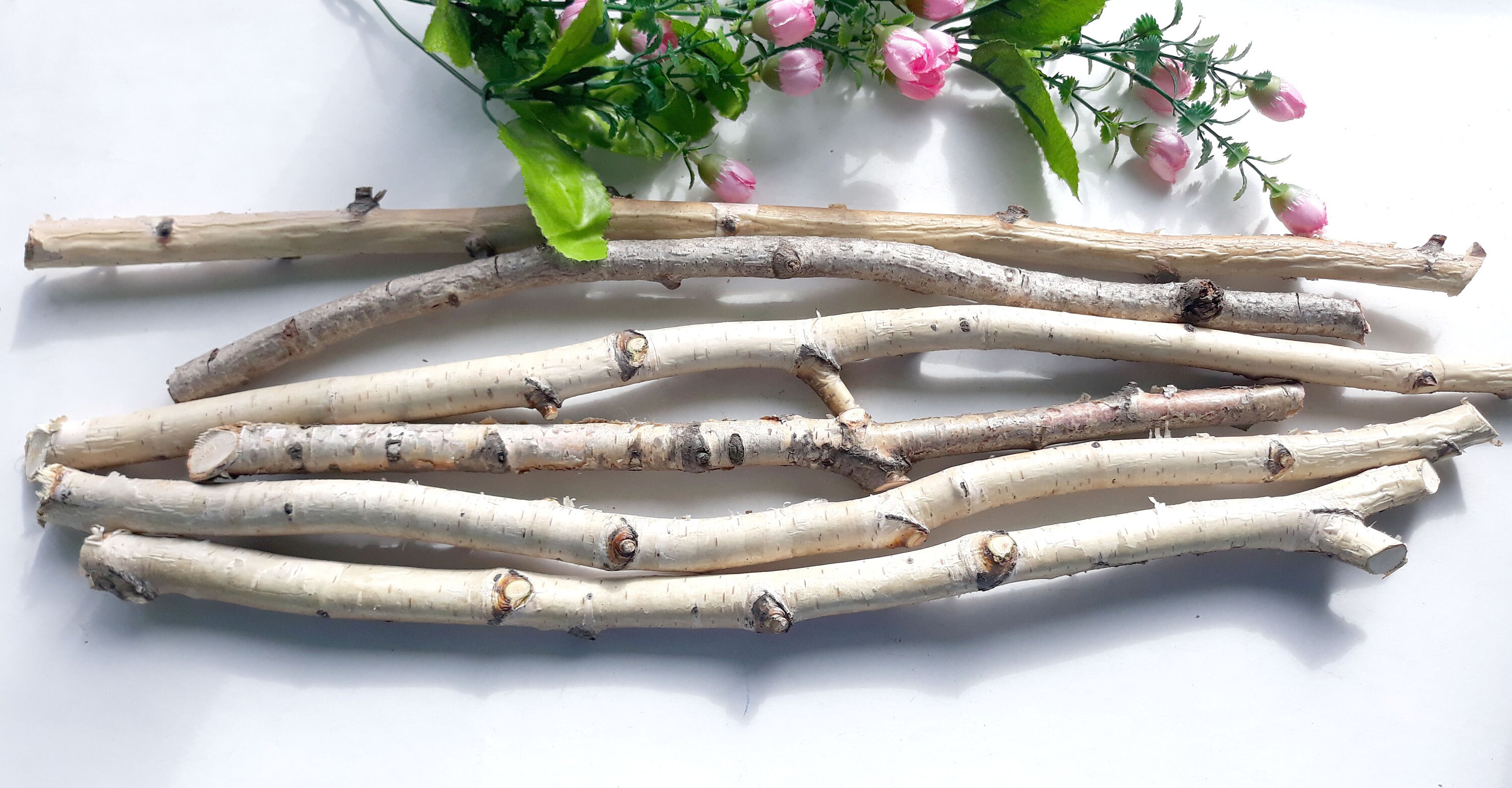 Set of 6 White Birch Sticks 1620 Birch branches Etsy