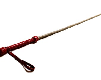 Multiple Bamboo BDSM Cane - Etsy