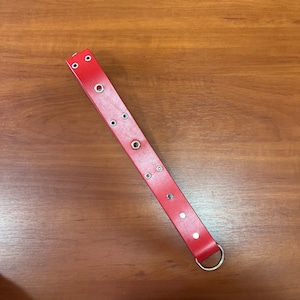 May include: A red leather collar with silver metal eyelets and a silver metal D-ring.