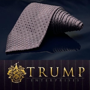 Donald J. Trump Signature Collection Mens Tie Brown