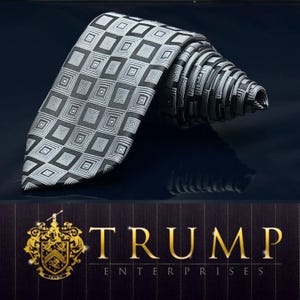 Silver DONALD J. TRUMP Tie Width: 3.5&quot; Length 61”