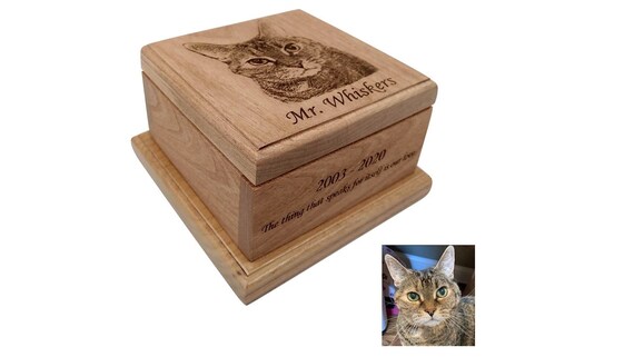 cat ashes box