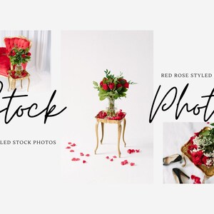 Styled Stock Photo for Instagram / Red Roses Valentines Day / 6 stock photos