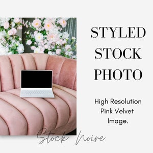 May include: A white laptop computer sits on a pink velvet sofa. The sofa is in front of a wall decorated with pink and white flowers.
