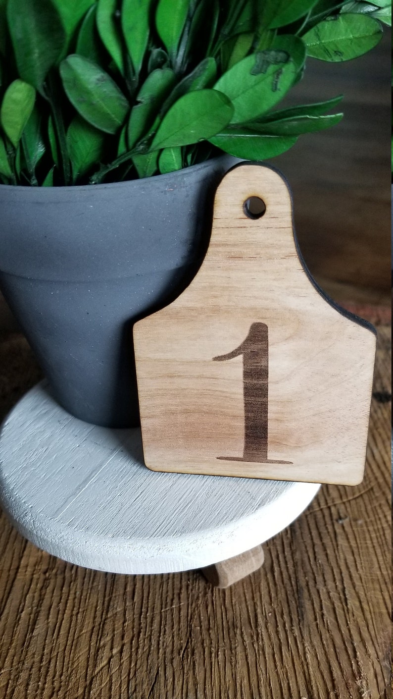 Cattle Tag Table Numbers //Rustic Wooden Table Number Tag // Farmhouse Style // Wedding Table Number Tags imagem 4