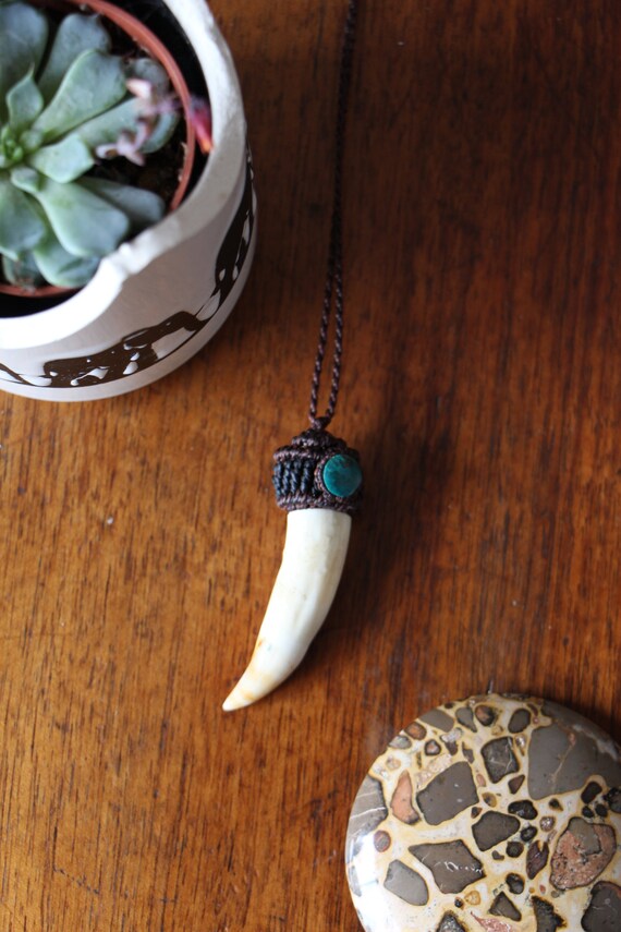 crocodile tooth necklace