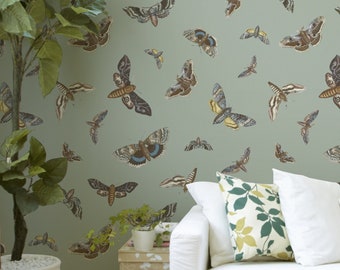 May include: A white couch with green and white throw pillows sits in front of a wall covered in a wallpaper pattern of brown and white moths on a light green background.