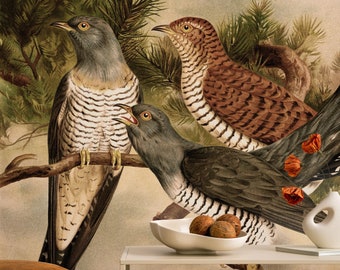 Birds on Branch Wallpaper Mural, Peel and Stick or Vinyl